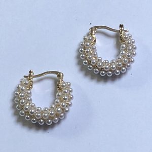 Boucles d’oreilles bégonia